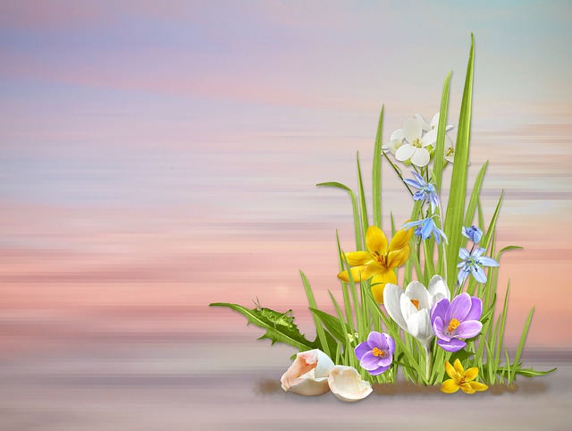 いのちを守る・優子の部屋